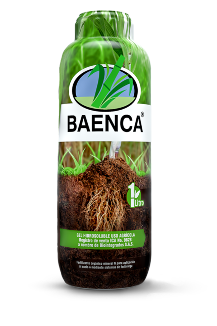 BAENCA 1L