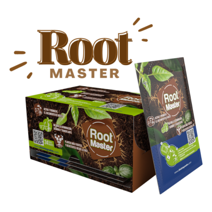 Root Master 5