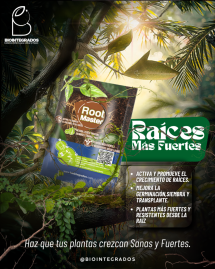 Root Master 5
