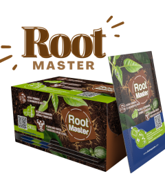 caja root - 522kb